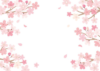桜　イラスト　フレーム　