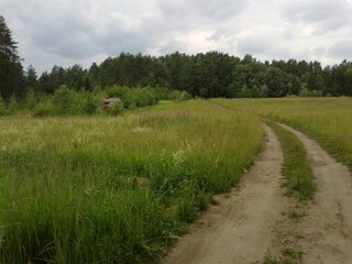 Sandy road in the field.
A field overgrown with grass and bushes in the distance green forest and white-gray clouds. Two lanes of sandy road go into the distance into the forest.