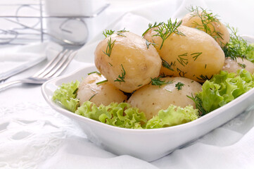Boiled Potatoes with dill on green salad leaves