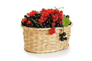 Fototapeta na wymiar Red and black currants in a wicker basket isolated on white .