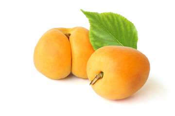 Apricots with leaf isolated on white