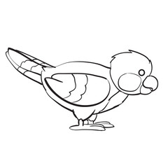 bird sketch, coloring book, cartoon illustration, isolated object on white background, vector,