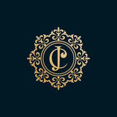 luxury logo design template vektor