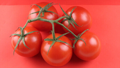 Red tomatoes on a green branch. Red background with tomatoes on top