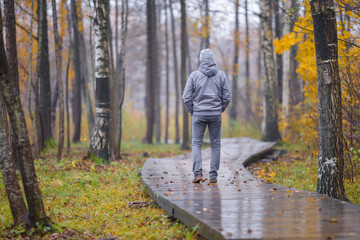 One young adult man in gray warm clothes slowly walking on wet wooden trail at natural park in rainy cold autumn evening. Spending time alone in nature. Peaceful atmosphere. Back view.