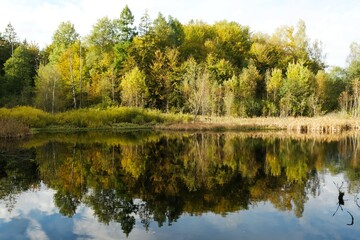 Fototapeta na wymiar Colorful autumn trees and their reflections in lake on sunny day