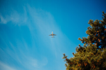 Lone white plane passing by in a beautiful blue sky with trees in the foreground.