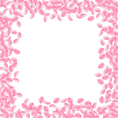 Sakura petals falling down. Romantic pink bright m