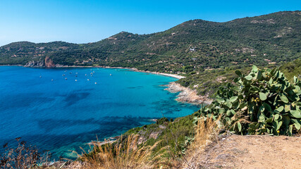Fototapeta premium Corsica France paradise beach with turquoise water
