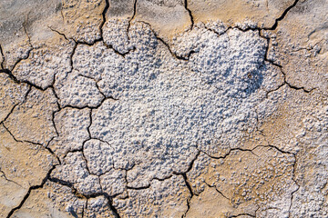 Dry barren cracked earth covered with salt crystals