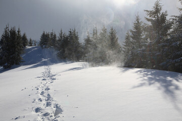 Naklejka premium Snowy slopes in the mountains.