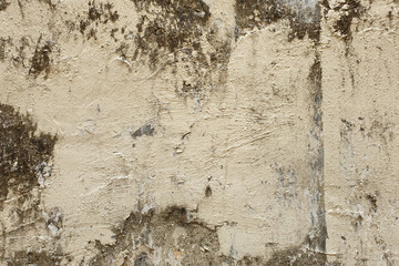 Fototapeta premium The texture of the old beige rustic wall background