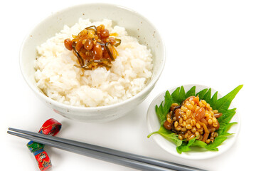 阿蘇の郷土食、醤油の実と御飯