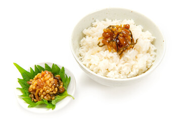 阿蘇の郷土食、醤油の実と御飯