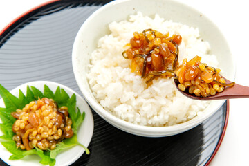 阿蘇の郷土食、醤油の実と御飯