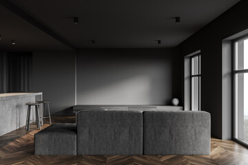 Dark gray kitchen interior with bar and sofa
