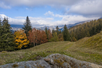 Fototapeta premium Panorama des Confins, commune de La Clusaz, Alpes françaises