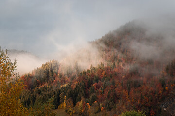 Montagnes de sapins de la Clusaz dans la brume, Haute-Savoie, Alpes françaises