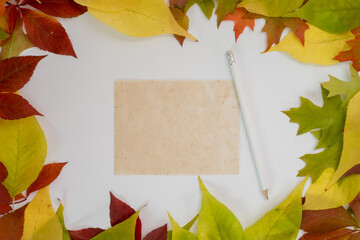Naklejka na ściany i meble Autumn leaves background with copy space for a greeting text or greeting card.