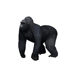 Wild animals - gorilla - isolated on white background - 3D illustration