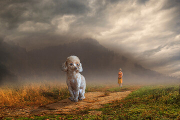 The girl walked away, leaving the dog all alone. Manipulation concept.