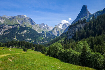 Fototapeta na wymiar Mountain and pastures landscape in French alps