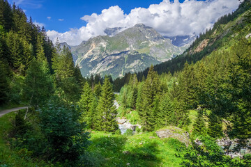 Fototapeta na wymiar Doron river in Vanoise national Park valley, French alps