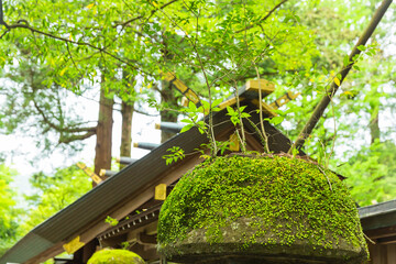 日本　宮崎県の高千穂の天岩戸神社