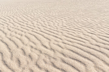 Sand texture background with ripples
