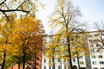 Residential houses in the green on the Isar, Munich