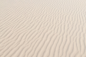 Sand texture background with ripples