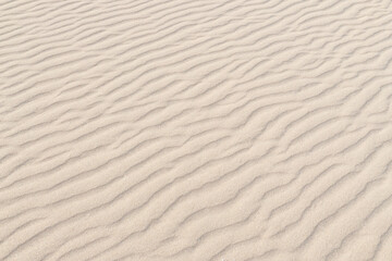 Fototapeta na wymiar Sand texture background with ripples