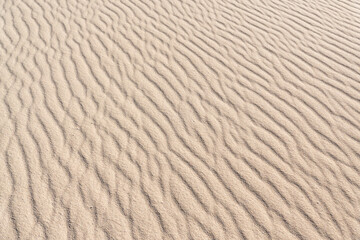 Sand texture background with ripples