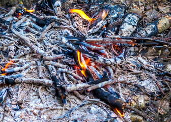 Remains of a fire on the ground in summer