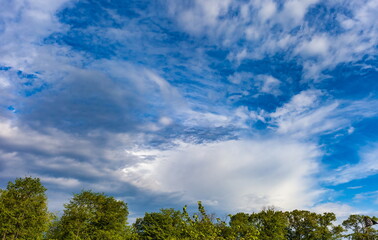 Clouds in the blue sky and tree tops