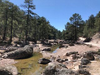 river in the mountains of Chihuahua - Mexico