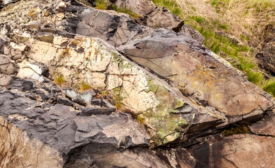 Stone on the river Bank close-up and grass in summer