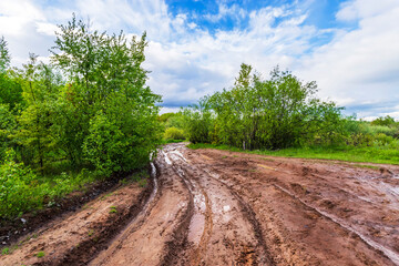 Fototapeta na wymiar Dirt and clay on a forest road afther rain in Russia.