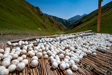Salty dry kurt. National sour milk product of Central Asia drying in mountains near Sary Chelek lake, Sary-Chelek Jalal Abad region, Kyrgyzstan. Closeup view pile of traditional dried Kyrgyz yogurt.