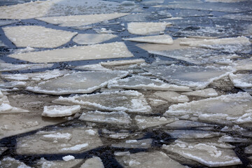 Ice floes in the water. Melting ice, many ice floes drifting