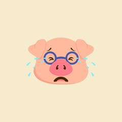 A piglet in glasses is crying, tears are pouring down his cheeks. Grief. Tragedy. Suffering. Colorful vector illustration.