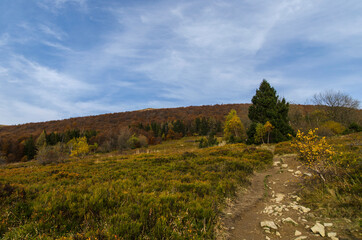 na turystycznym szlaku - Bieszczady 