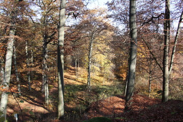 Naklejka premium herbst