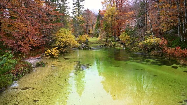 Small narrow river Sava Bohinjka flowing in beautiful landscape. Amazing nature in national park. Colorful autumn season in Slovenia. Static shot, real time, wide angle