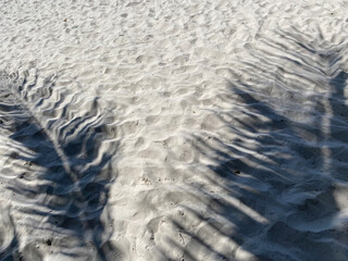 shadow of palm trees on white sand in Hua Hin