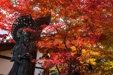 Obraz na płótnie Canvas 日本　京都、妙心寺の霊雲院の仏像と紅葉