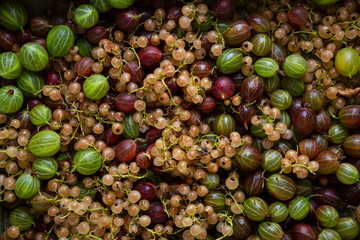 Summer berries food background from top view