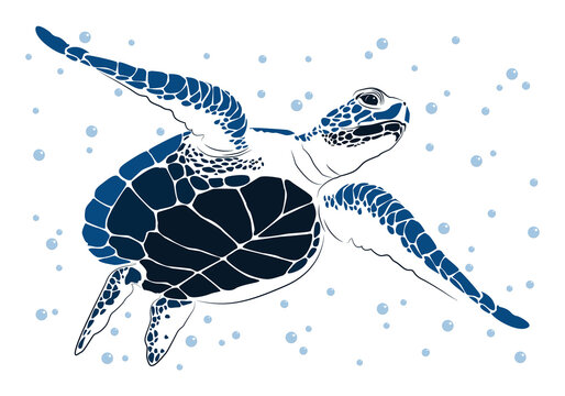 graphic sea turtle,vector illustration of sea turtle,vector of turtle design on a white background,save a turtle.