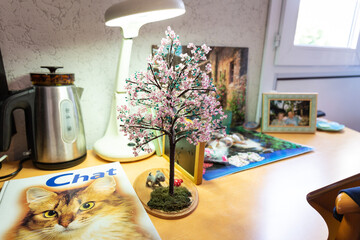 Bureau de la chambre d'un résident de maison de retraite