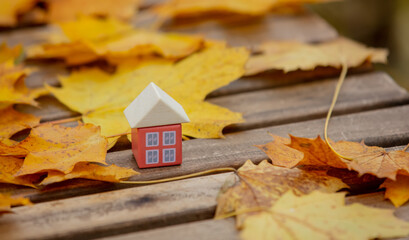 Little toy house next to autumn leaves on a table